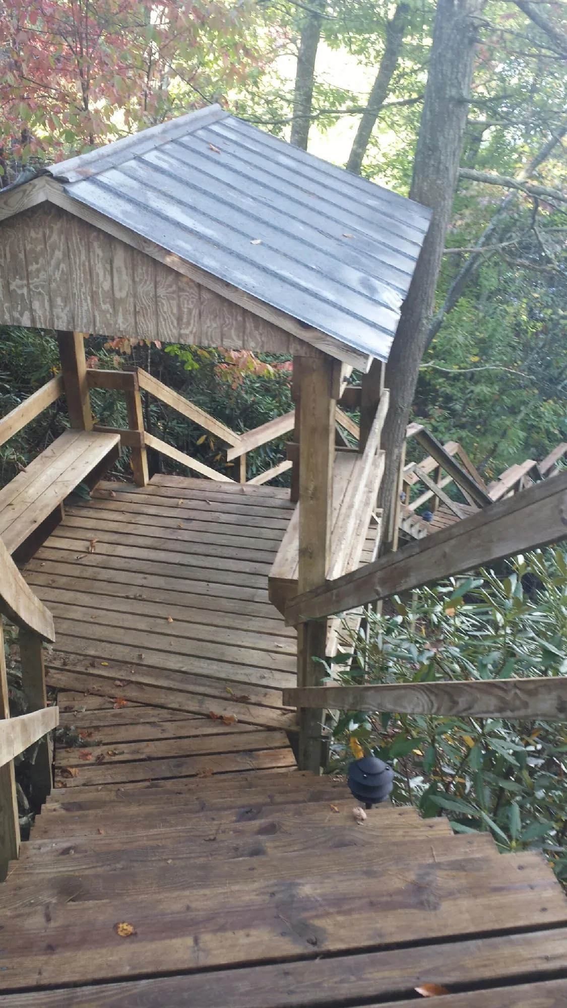 Metal roofed shelter over wooden steps on a wooded walkway — Skylight Repair & Installation work by our crew in Aripeka